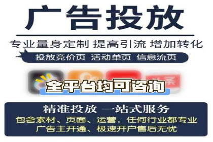 某电商平台的SEM广告投放策略及效果评估